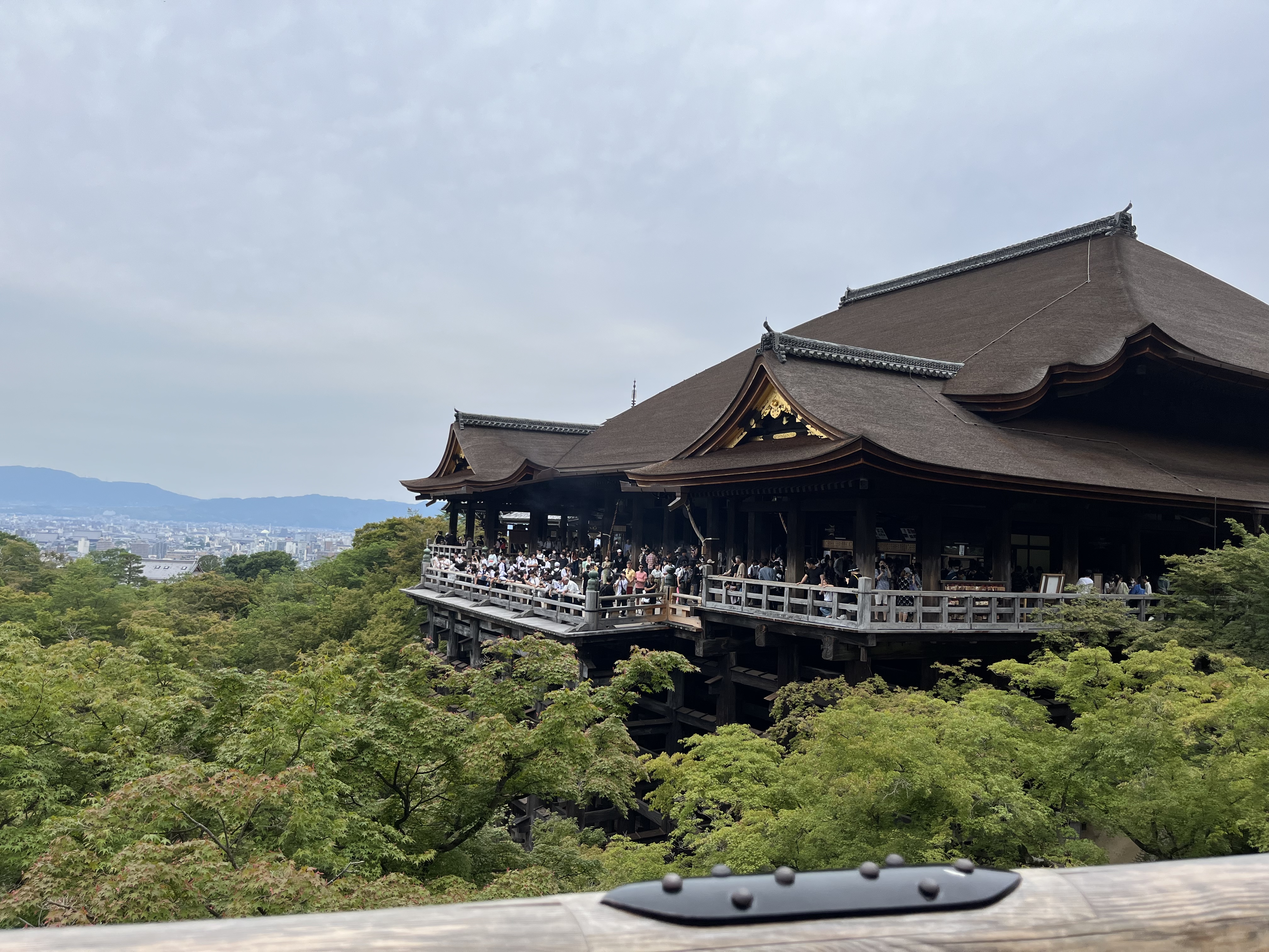 久しぶりの旅行