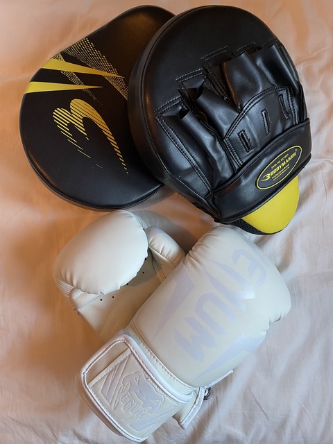 New boxing gloves