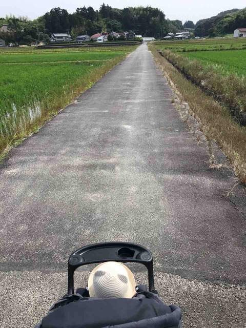 散歩道