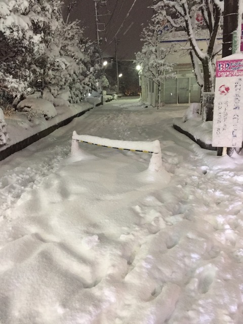 雪